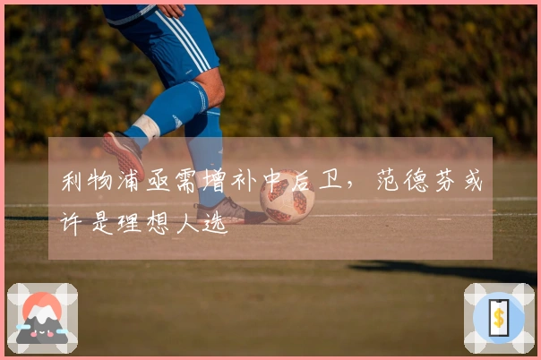 利物浦亟需增补中后卫,范德芬或许是理想人选