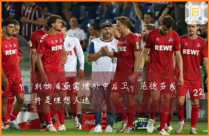 利物浦亟需增补中后卫，范德芬或许是理想人选