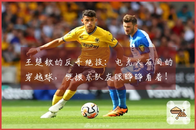 王楚钦的反手绝技：电光火石间的穿越球，樊振东队友眼睁睁看着！